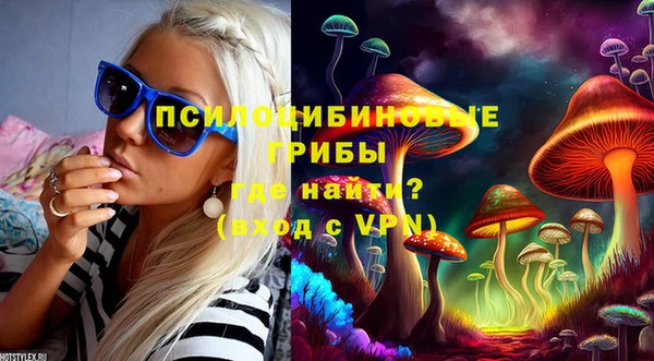 гидра Армянск
