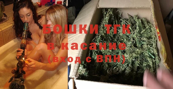 гашик Арсеньев