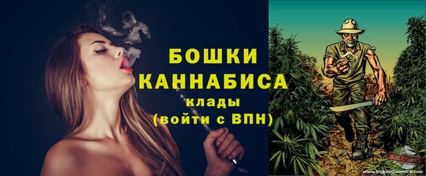 СК Аркадак
