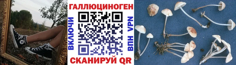 что такое наркотик  блэк спрут онион  Псилоцибиновые грибы GOLDEN TEACHER  Бабаево 